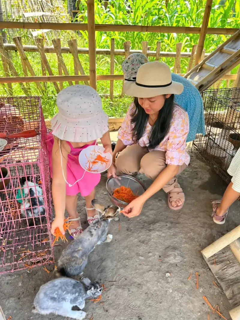Feeding carrot to the rabbits