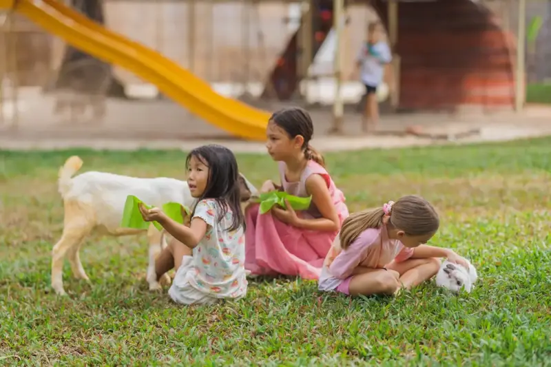 Three girls feeding a goat and a rabbit